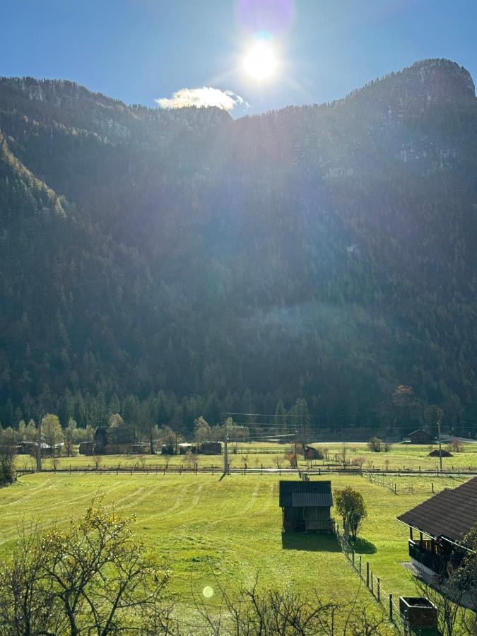 Haus Edelweiss Hotel Obertraun Buitenkant foto